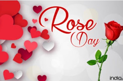 ROSE Day wishing Shayari in Hindi