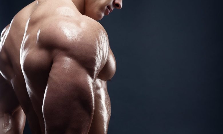 Navigating the Landscape of UK Steroids Shops: A Buyer's Guide