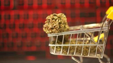 Navigating the World of Online Weed Purchases: What You Need to Know