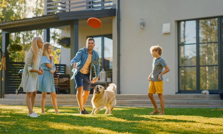 Artificial Grass for Pets: Solutions for a Pet-Friendly Backyard