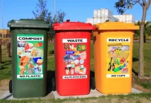 Bin Basics Choosing the Perfect Waste Container for Your Home or Business