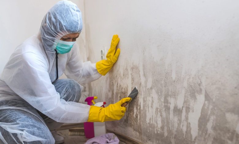 Mold in Your Home? Don't Panic! A Homeowner's Guide to Remediation
