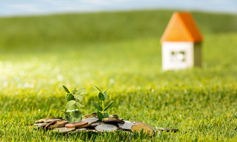 Unlocking the Potential of Vacant Land Strategies for Sustainable Development