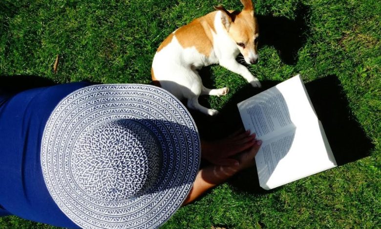 3 Safety Precautions For Dog Owners