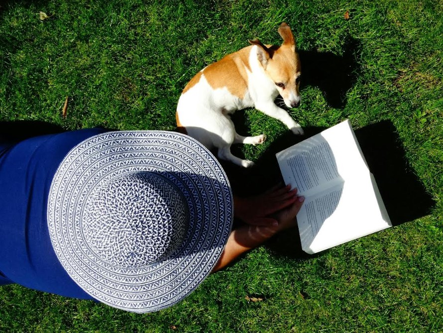 3 Safety Precautions For Dog Owners