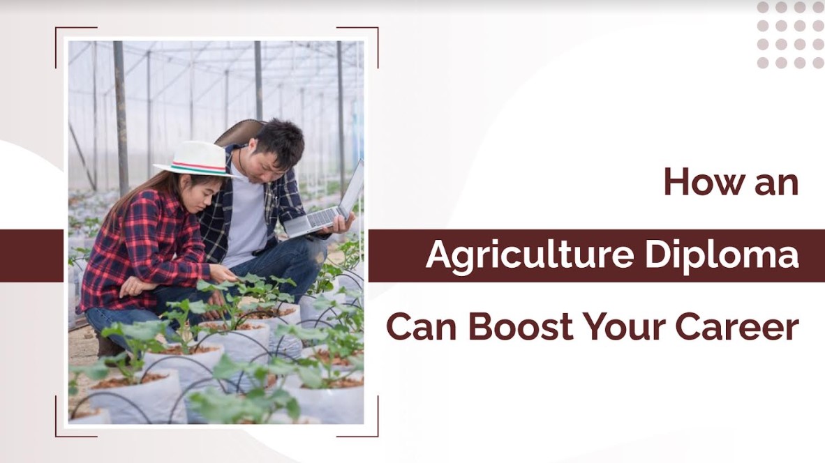 How an Agriculture Diploma Can Boost Your Career