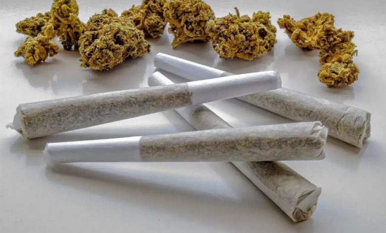 The Benefits and Usage of Pre-Rolls in Modern Cannabis Consumption
