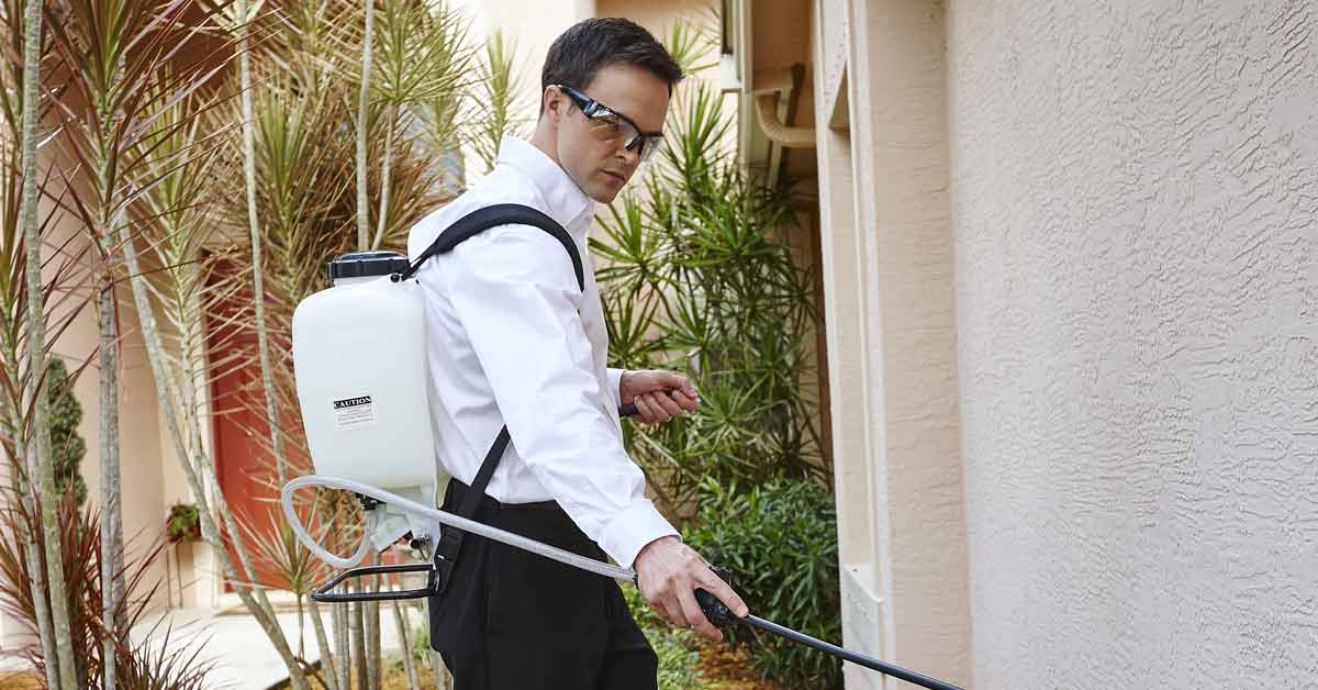 Why Pest Control Is Important for Your Family's Health