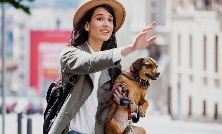 How to Choose the Right Pet Transport Service for Your Needs