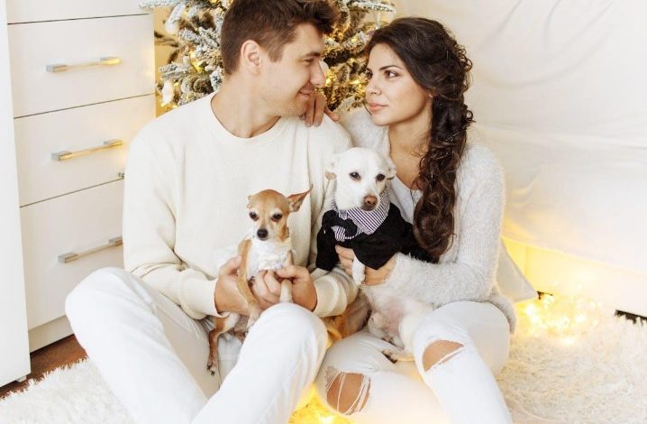 How to Choose the Right Pet for Your Lifestyle