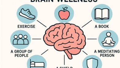 Supporting Brain Wellness in Everyday Life